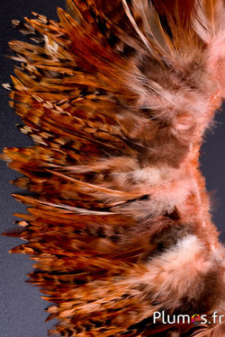 Frange coq chin roux - long. plumes 10-15 cm - saumon rosé